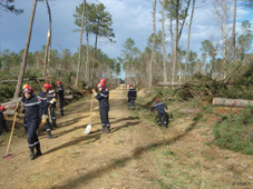 Dégagement tempête dans les Landes